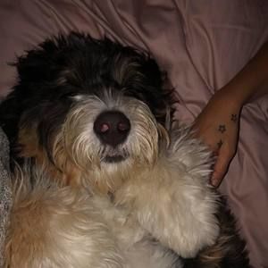 Meet your Posher, Gia